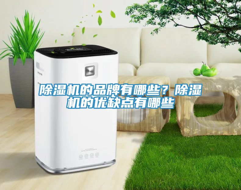 除濕機的品牌有哪些？除濕機的優(yōu)缺點有哪些