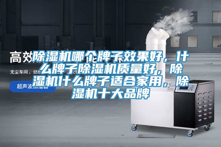 除濕機(jī)哪個(gè)牌子效果好，什么牌子除濕機(jī)質(zhì)量好，除濕機(jī)什么牌子適合家用，除濕機(jī)十大品牌