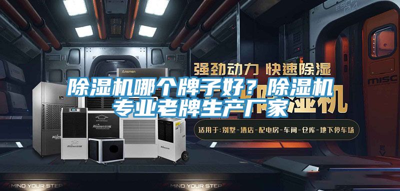 除濕機(jī)哪個(gè)牌子好？除濕機(jī)專業(yè)老牌生產(chǎn)廠家