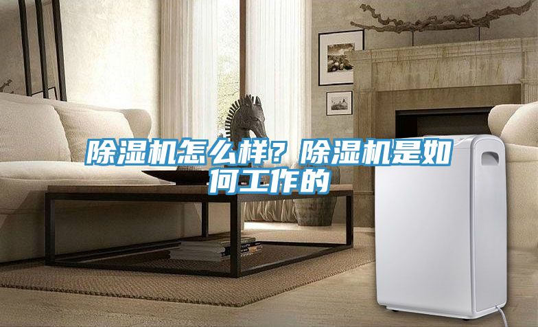 除濕機(jī)怎么樣？除濕機(jī)是如何工作的
