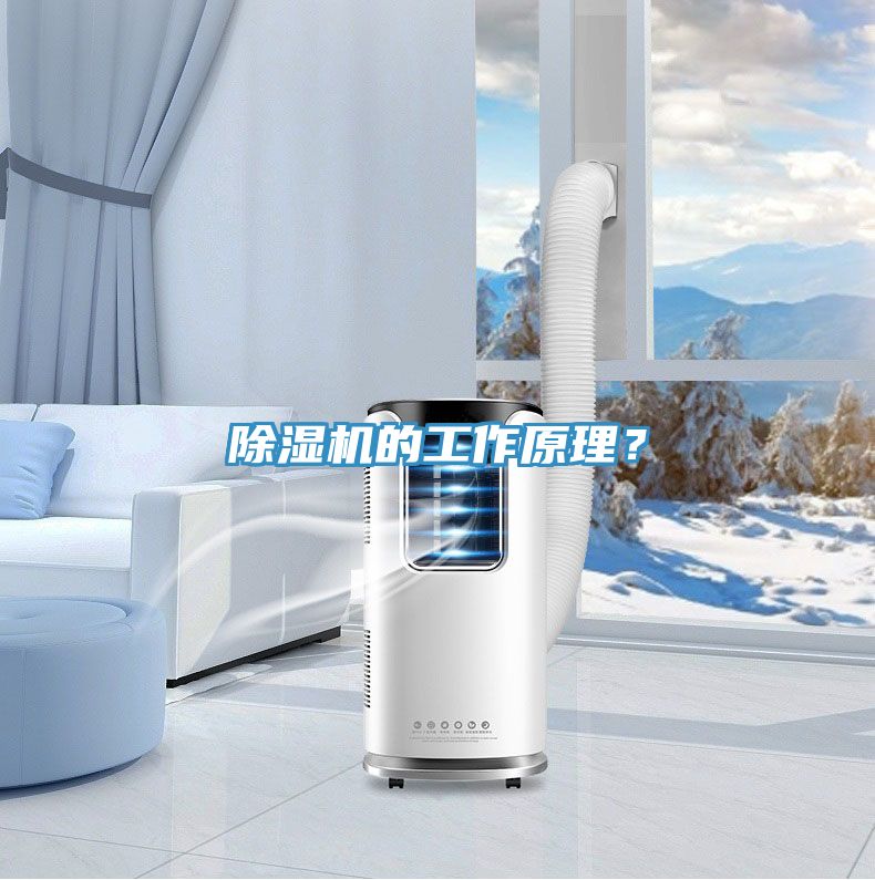 除濕機(jī)的工作原理？