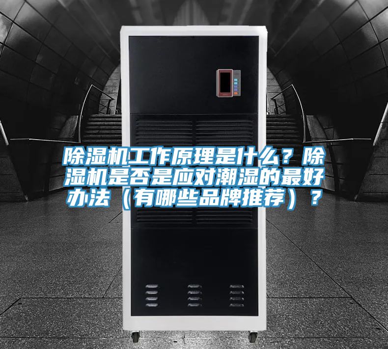 除濕機(jī)工作原理是什么？除濕機(jī)是否是應(yīng)對潮濕的最好辦法（有哪些品牌推薦）？