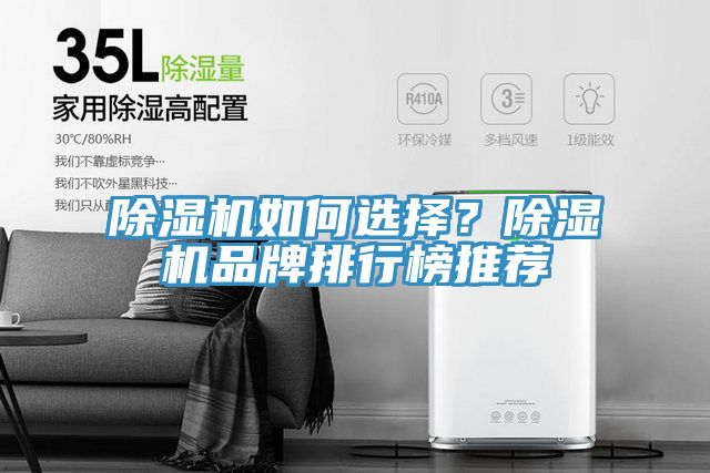 除濕機如何選擇？除濕機品牌排行榜推薦