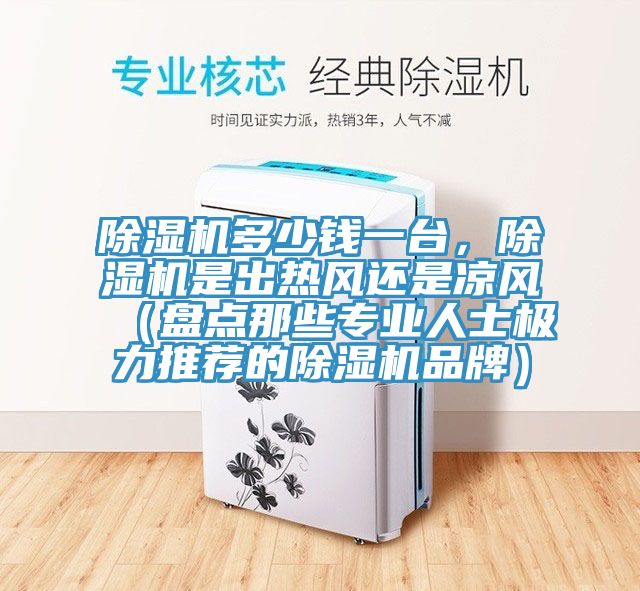 除濕機多少錢一臺，除濕機是出熱風(fēng)還是涼風(fēng)（盤點那些專業(yè)人士極力推薦的除濕機品牌）