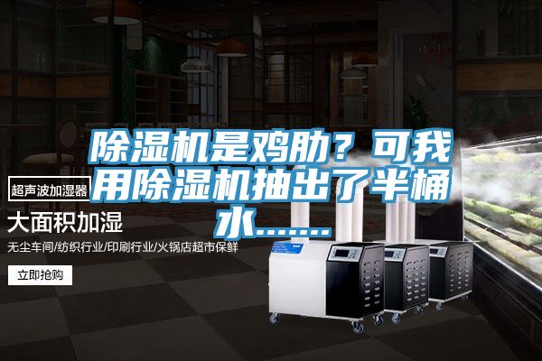 除濕機(jī)是雞肋？可我用除濕機(jī)抽出了半桶水.......