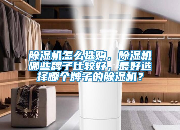 除濕機(jī)怎么選購，除濕機(jī)哪些牌子比較好，最好選擇哪個牌子的除濕機(jī)？