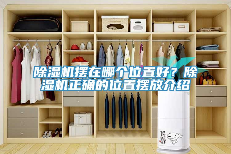 除濕機擺在哪個位置好？除濕機正確的位置擺放介紹