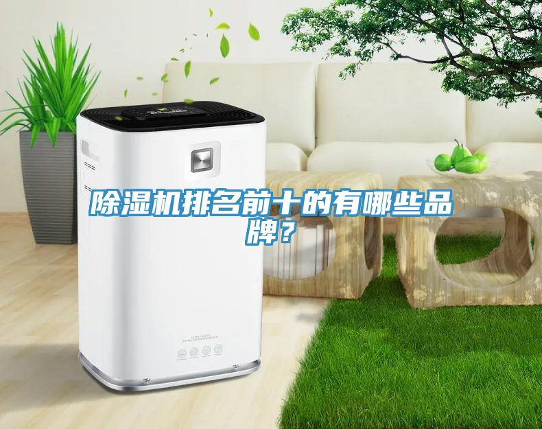 除濕機(jī)排名前十的有哪些品牌？
