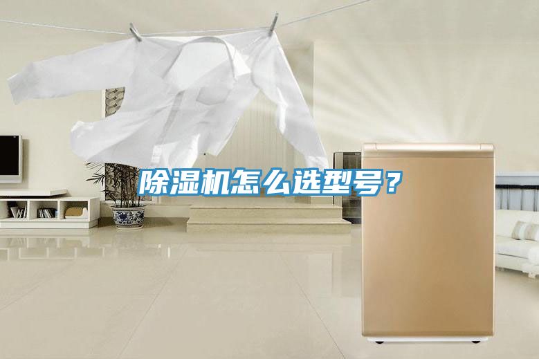 除濕機怎么選型號？