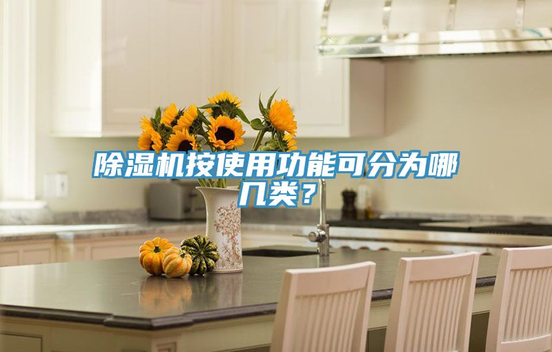 除濕機按使用功能可分為哪幾類？