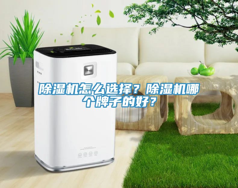 除濕機怎么選擇？除濕機哪個牌子的好？