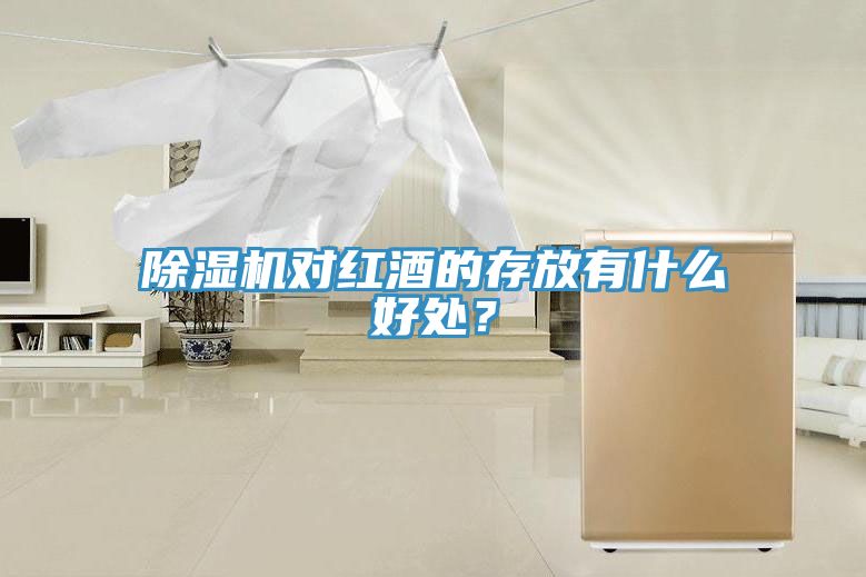 除濕機(jī)對紅酒的存放有什么好處？