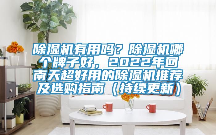 除濕機(jī)有用嗎？除濕機(jī)哪個(gè)牌子好，2022年回南天超好用的除濕機(jī)推薦及選購(gòu)指南（持續(xù)更新）