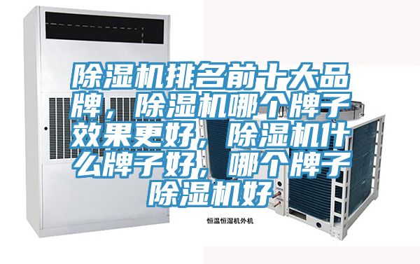 除濕機(jī)排名前十大品牌，除濕機(jī)哪個(gè)牌子效果更好，除濕機(jī)什么牌子好，哪個(gè)牌子除濕機(jī)好