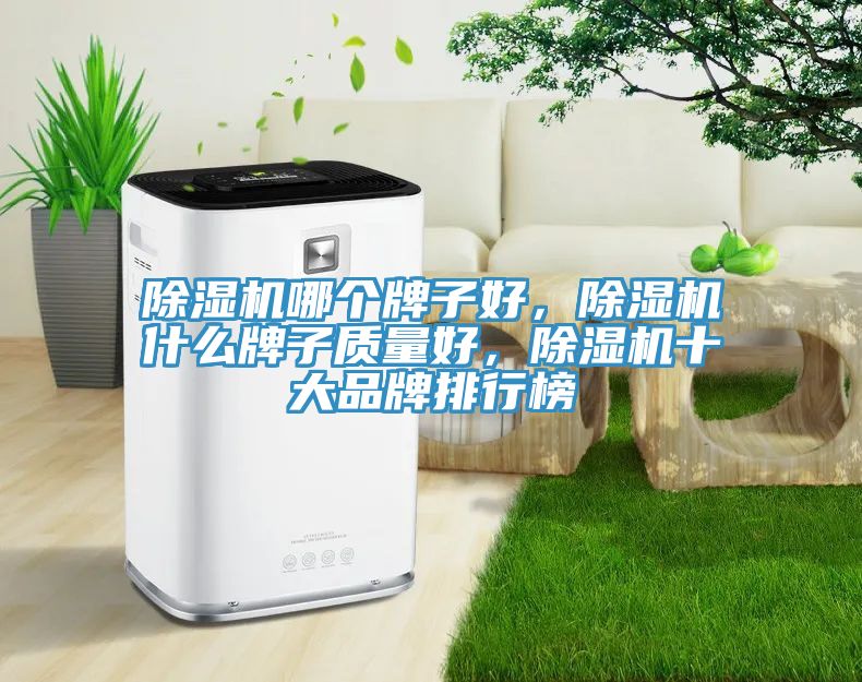 除濕機(jī)哪個(gè)牌子好，除濕機(jī)什么牌子質(zhì)量好，除濕機(jī)十大品牌排行榜