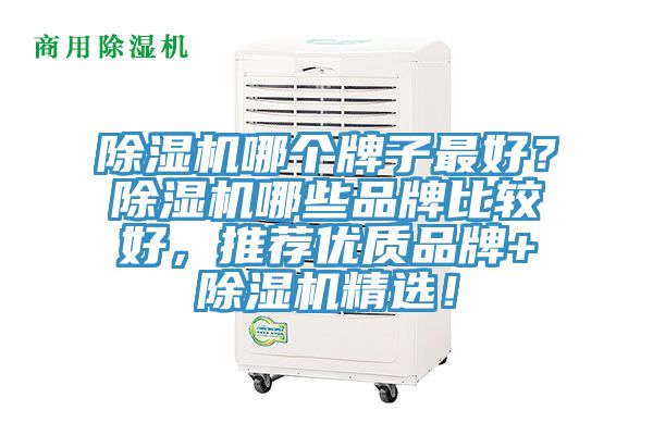 除濕機(jī)哪個(gè)牌子最好？除濕機(jī)哪些品牌比較好，推薦優(yōu)質(zhì)品牌+除濕機(jī)精選！