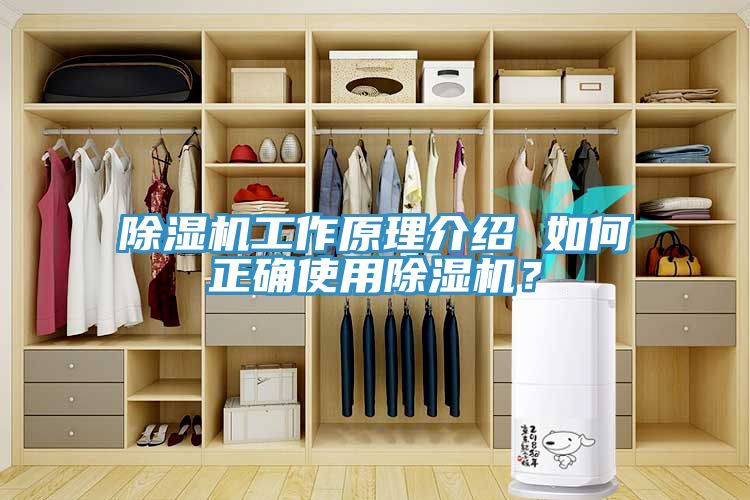 除濕機(jī)工作原理介紹 如何正確使用除濕機(jī)？