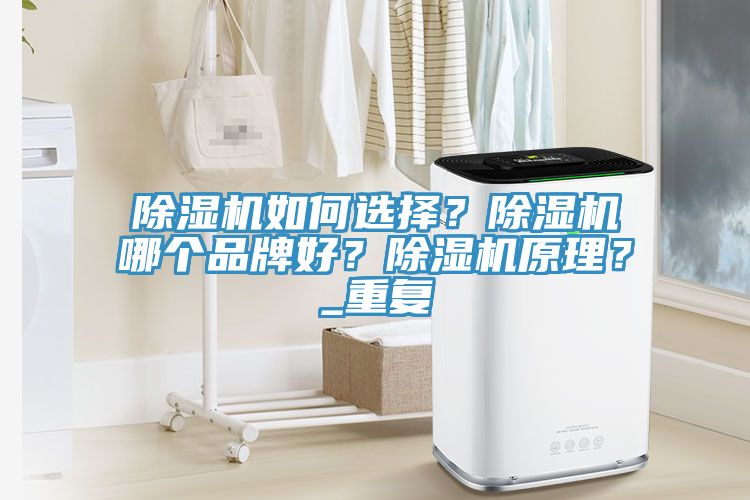 除濕機如何選擇？除濕機哪個品牌好？除濕機原理？_重復