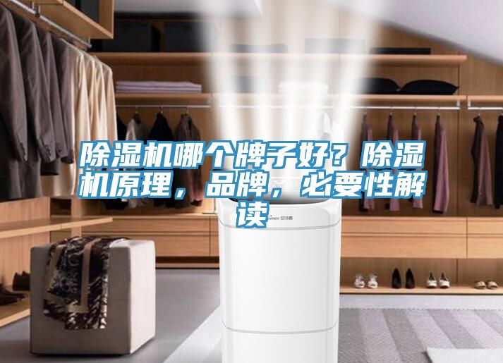 除濕機(jī)哪個(gè)牌子好？除濕機(jī)原理，品牌，必要性解讀