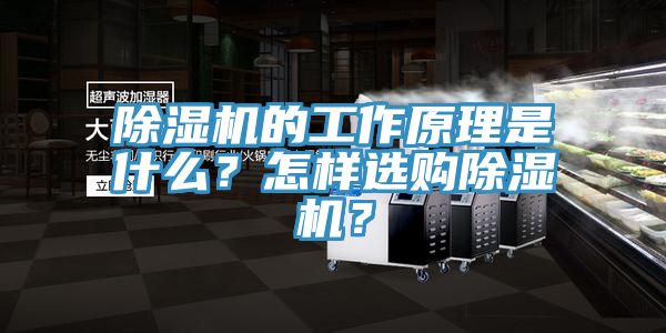 除濕機(jī)的工作原理是什么？怎樣選購(gòu)除濕機(jī)？