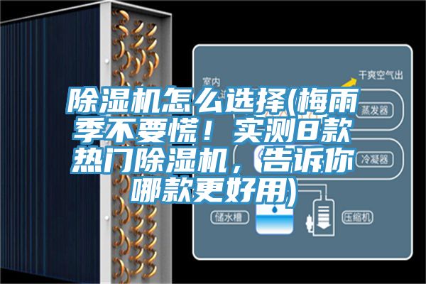 除濕機怎么選擇(梅雨季不要慌！實測8款熱門除濕機，告訴你哪款更好用)
