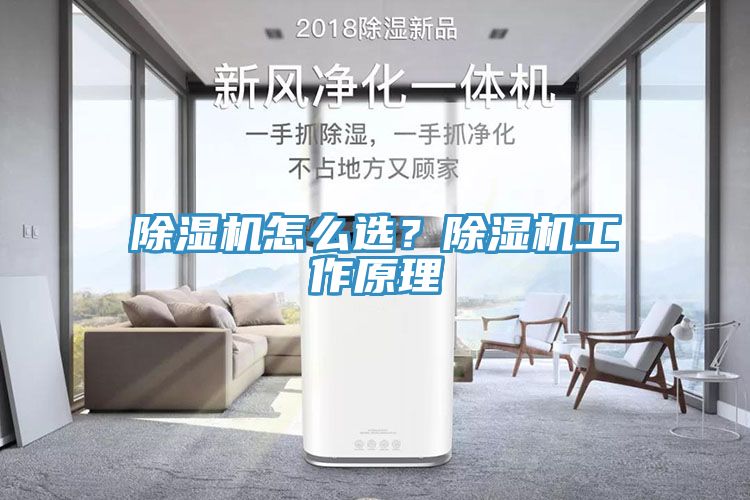 除濕機怎么選？除濕機工作原理