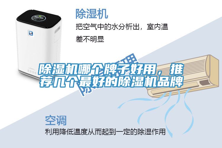 除濕機(jī)哪個(gè)牌子好用，推薦幾個(gè)最好的除濕機(jī)品牌