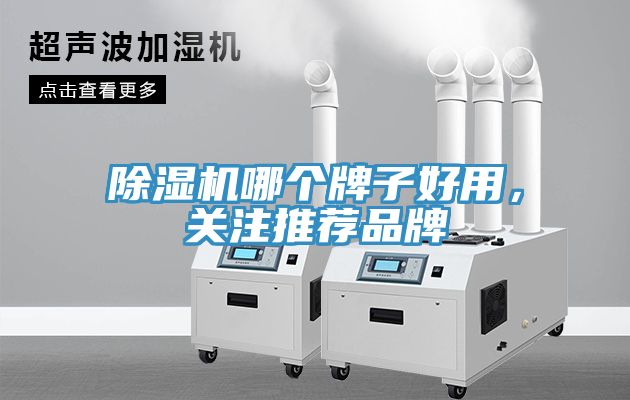 除濕機(jī)哪個(gè)牌子好用，關(guān)注推薦品牌
