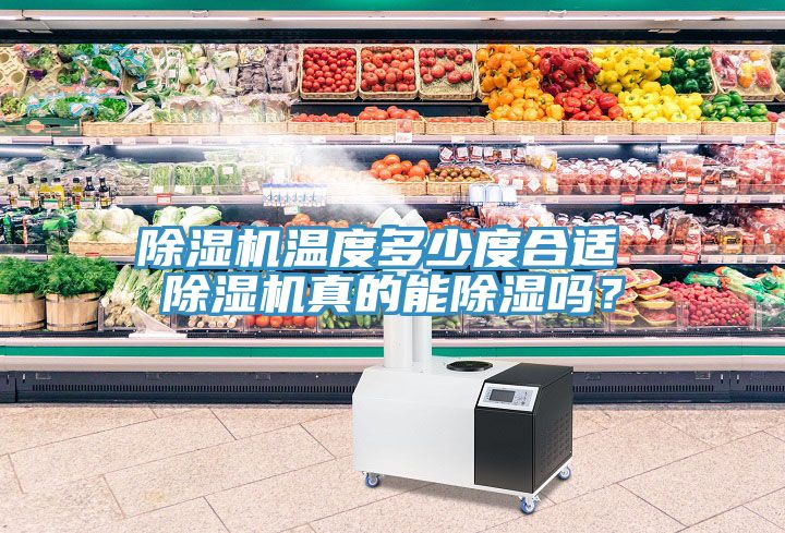除濕機(jī)溫度多少度合適 除濕機(jī)真的能除濕嗎？