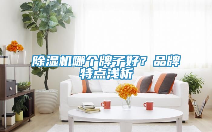 除濕機(jī)哪個(gè)牌子好？品牌特點(diǎn)淺析