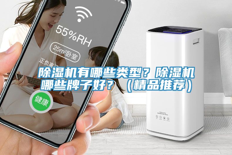 除濕機(jī)有哪些類型？除濕機(jī)哪些牌子好？（精品推薦）