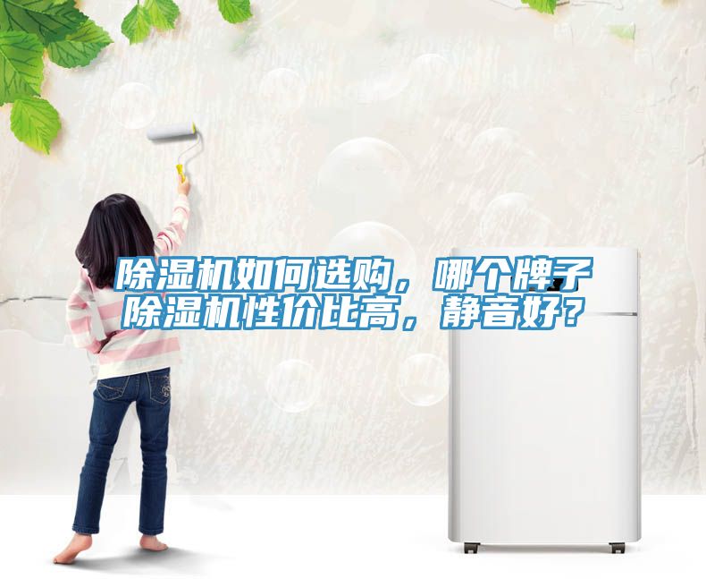 除濕機(jī)如何選購(gòu)，哪個(gè)牌子除濕機(jī)性?xún)r(jià)比高，靜音好？