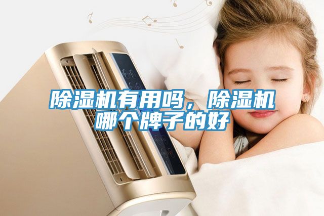 除濕機(jī)有用嗎，除濕機(jī)哪個(gè)牌子的好